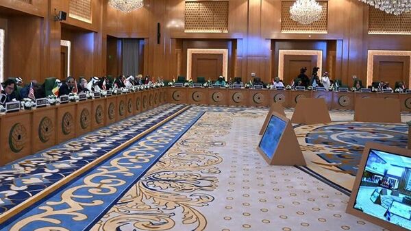 تأکید وزرای امور خارجه سازمان همکاری اسلامی برای تعلیق عضویت اسرائیل در سازمان ملل - اسپوتنیک افغانستان  