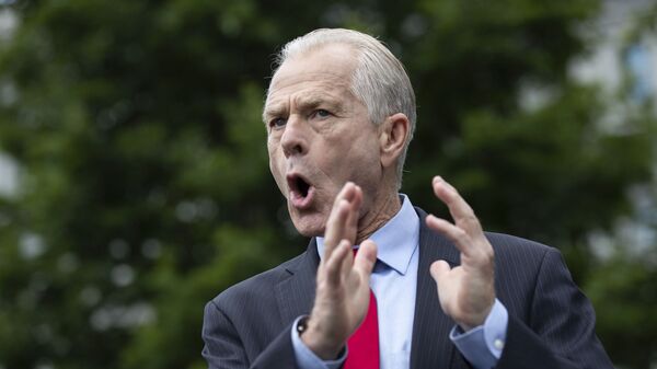 White House trade adviser Peter Navarro speaks with reporters at the White House, Thursday, June 18, 2020, in Washington. - اسپوتنیک افغانستان  