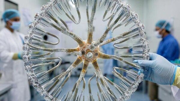واکسین روسیه علیه سرطان کاملا برای استفاده آماده است - اسپوتنیک افغانستان  