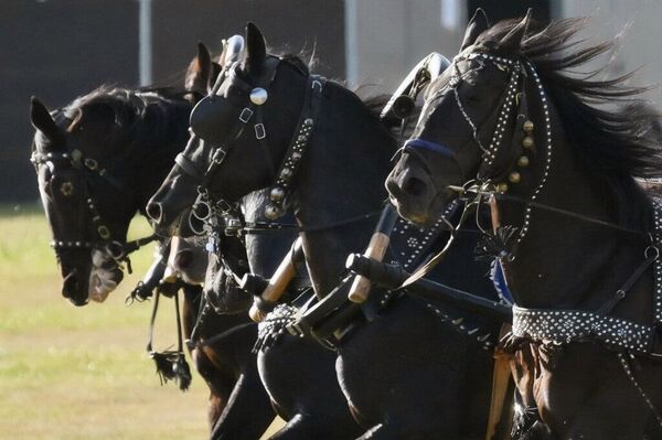افسانه تروئیکای روسی در قلب مسکو - اسپوتنیک افغانستان  
