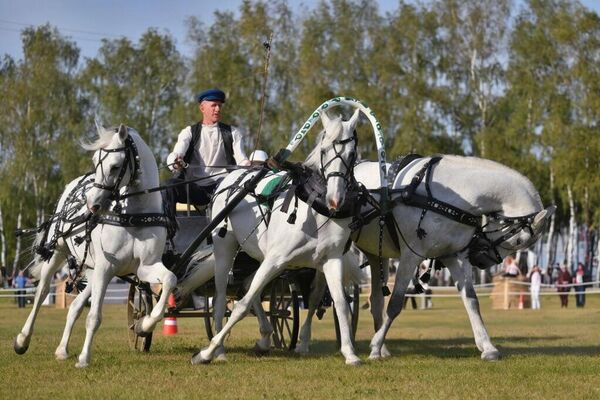 افسانه تروئیکای روسی در قلب مسکو - اسپوتنیک افغانستان  