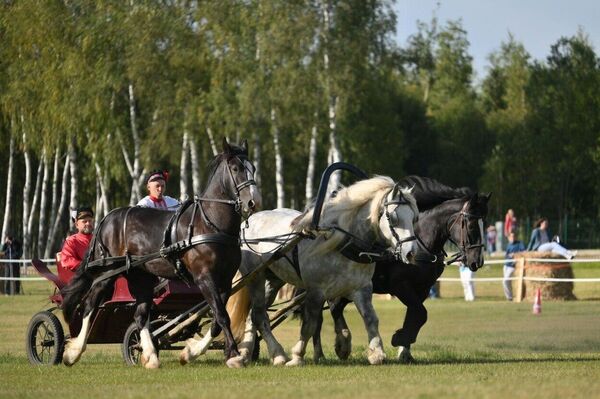 افسانه تروئیکای روسی در قلب مسکو - اسپوتنیک افغانستان  