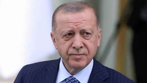 اردوغان خواستار اعمال تحریم ها علیه شد - اسپوتنیک افغانستان  
