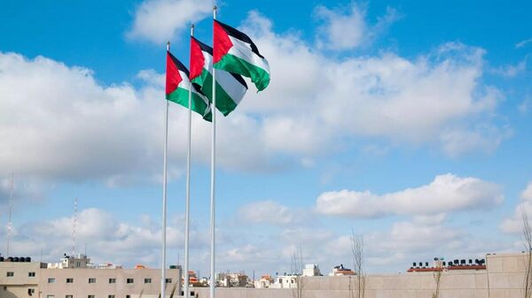به رسمیت شناختن کشور فلسطین نتیجه سال‌ها تلاش دیپلماتیک بود - اسپوتنیک افغانستان  