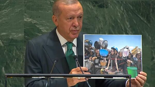 اردوغان نگاره ای از زنان نوار غزه را در مجمع عمومی سازمان ملل نشان داد - اسپوتنیک افغانستان  