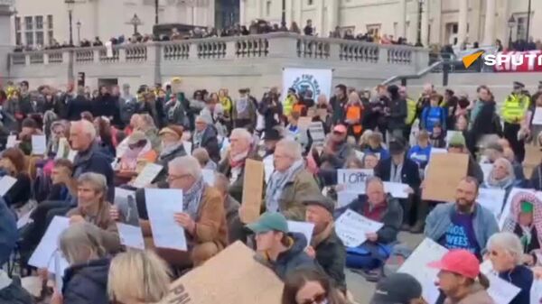 ده‌ها نفر در راهپیمایی پشتیبانی از فلسطین در لندن دستگیر شدند - اسپوتنیک افغانستان  