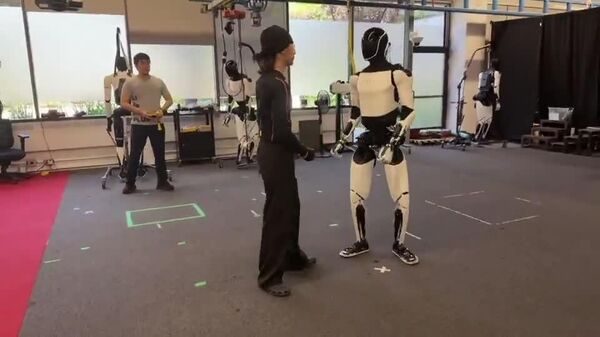 ربات انسان‌نمای تسلا هنرهای رزمی می‌آموزد - اسپوتنیک افغانستان  