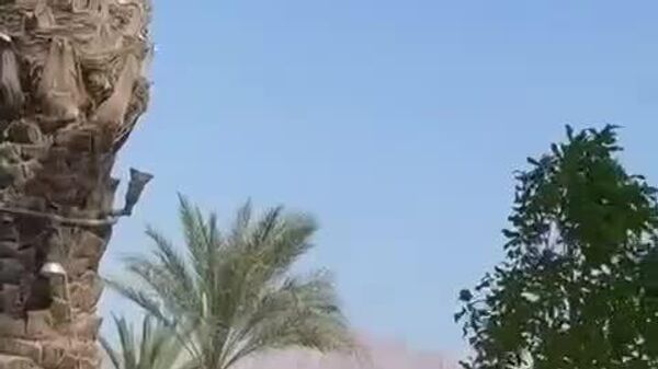 نوارهای دیداری منتشر شده در رسانه‌های اسرائیلی از لحظه رهگیری دو پهپاد شلیک شده از سوی یمن به شهر ایلات جنوب اسرائیل - اسپوتنیک افغانستان  