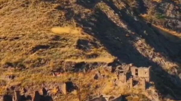 حتی پرندگان هم از کوادکوپترها گیچ می‌شوند - اسپوتنیک افغانستان  