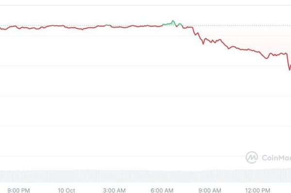 تهدید ترامپ برای تعرفه های چین، بازار ارز دیجیتال را به سقوط آزاد می رساند - اسپوتنیک افغانستان  