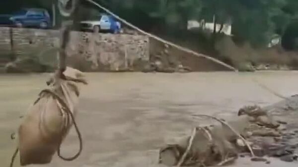 در شهر وراکروس، مکسیکو مردم محلی تلاش کردند حیوانات را نجات دهند - اسپوتنیک افغانستان  