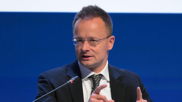 Hungarian Minister of Foreign Affairs and Trade Peter Szijjarto attends the Gas market 2024: the new world order outlines plenary session of the 2024 St. Petersburg International Gas Forum in St. Petersburg, Russia - اسپوتنیک افغانستان  