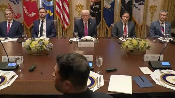 گزارش‌های رسانه‌ها حاکی از آن است که رئیس پنتاگون (در تصویر شخص سمت راست) در حالی که نکتایی به رنگ پرچم روسیه بسته بود، به جلسه با زلنسکی آمد - اسپوتنیک افغانستان  