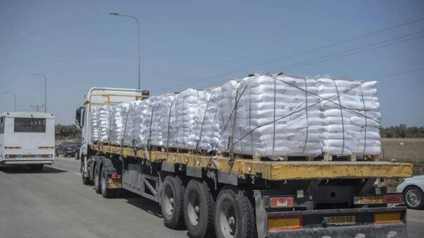 اسرائیل ورود کمک‌های بشردوستانه به غزه را تا اطلاع ثانوی متوقف می کند - اسپوتنیک افغانستان  