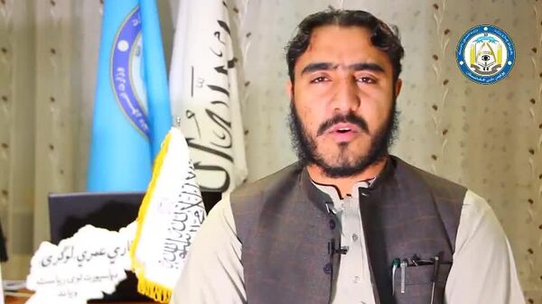 اداره پاسپورت گزارش داده است که در شش ماه گذشته 528 هزار پاسپورت به شهروندان کشور توزیع شده است - اسپوتنیک افغانستان  