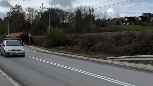 راه‌بندان در لهستان: یک گله از گوسفند تصمیم گرفتند که امروز آنها اصلی‌ترین گله در جاده باشند - اسپوتنیک افغانستان  