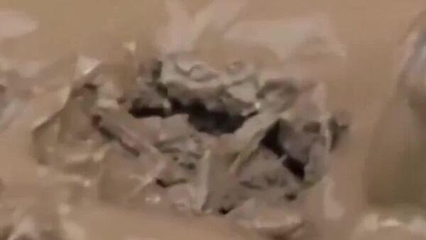 سرباز ارتش یک موش کوچک را از میان گل و لای نجات داد - اسپوتنیک افغانستان  