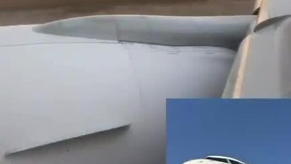 برخورد هواپیمای مسافربری سعودی با دسته‌ی پرندگان الجزایری - اسپوتنیک افغانستان  