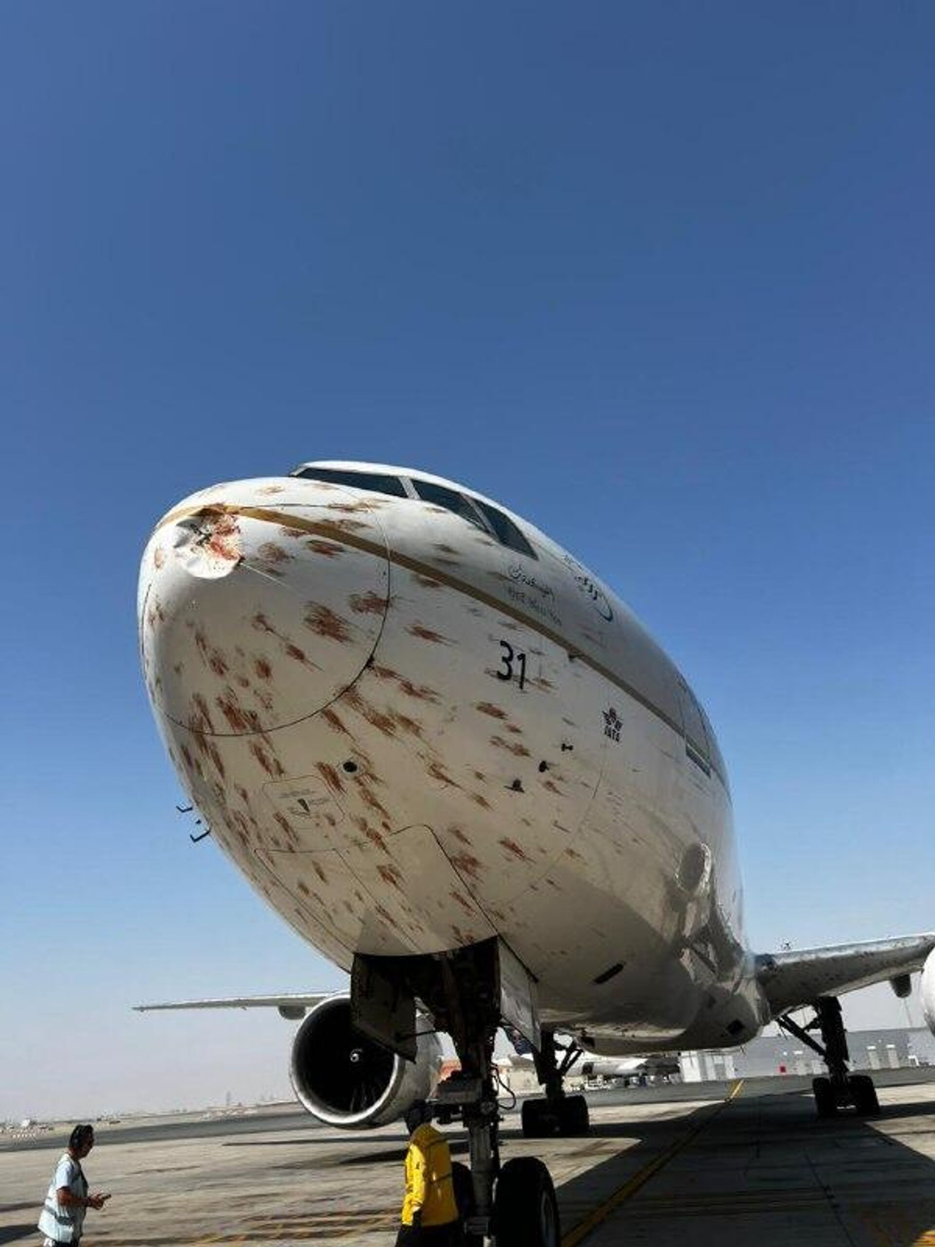 برخورد هواپیمای مسافربری سعودی با دسته‌ی پرندگان الجزایری - اسپوتنیک افغانستان  , 1920, 27.10.2025