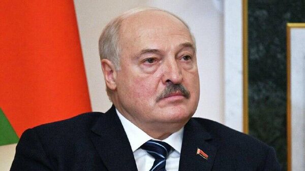 سخنگوی مطبوعاتی ریاست جمهوری بلاروس، در گفتگو با اسپوتنیک تأیید کرد که اورشنیک در ماه دسامبر به ماموریت رزمی اعزام خواهد شد - اسپوتنیک افغانستان  