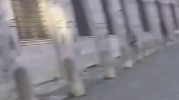 سرقت قرن - نسخه ایتالیایی - اسپوتنیک افغانستان  