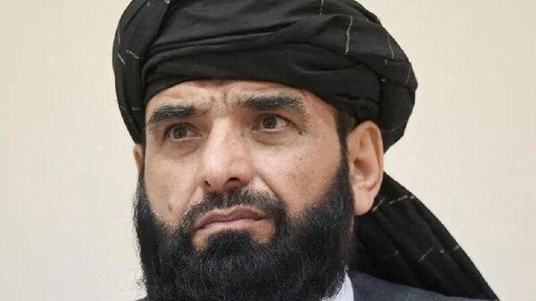 شاهین به اسپوتنیک: مذاکرات با پاکستان به بن‌بست مواجه شده است - اسپوتنیک افغانستان  