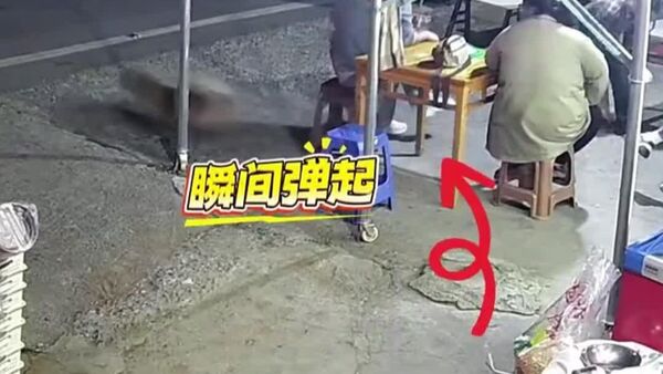 نجات یک خانواده در چین توسط یک سگ - اسپوتنیک افغانستان  