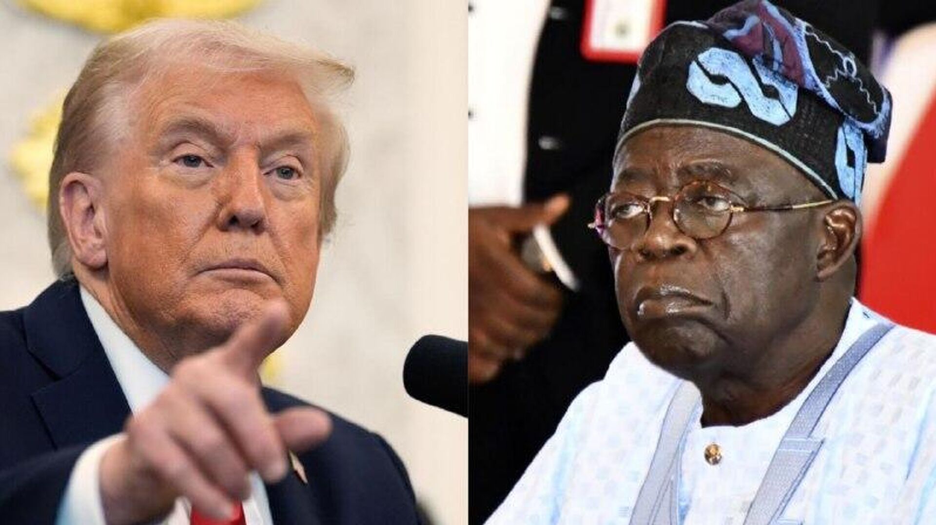 دیداراحتمالی روسای جمهور نیجریه و آمریکا در روزهای آینده دیداراحتمالی روسای جمهور نیجریه و آمریکا در روزهای آینده - اسپوتنیک افغانستان , 1920, 02.11.2025