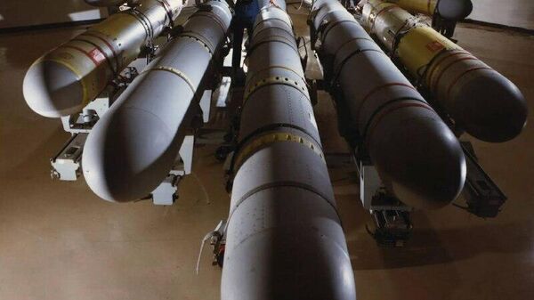 تصمیم ترامپ مبنی بر ندادن تاماهاک به اوکراین؛ «فیصله ترامپ عاقلانه است امید است عملی گردد» - اسپوتنیک افغانستان  