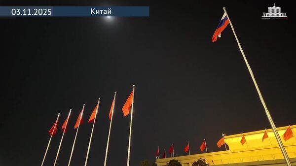 نخست وزیر روسیه وارد پکن شد - اسپوتنیک افغانستان  