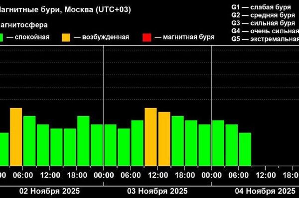 هشدار دانشمندان از ادامه فعالیت قدرتمندترین شراره‌های خورشیدی سال جاری - اسپوتنیک افغانستان  
