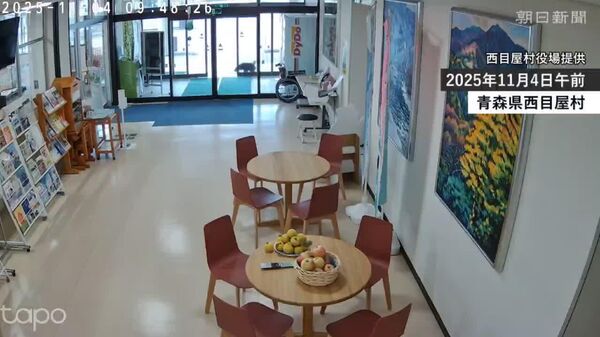 ورود خرس به ساختمان شهرداری در شمال جاپان - اسپوتنیک افغانستان  