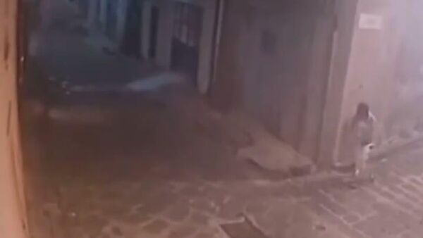 آتش‌سوزی عمدی در اردوگاه مهاجران نوجوان در سیسیل ایتالیا - اسپوتنیک افغانستان  