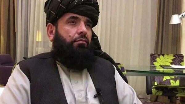 شاهین به اسپوتنیک در خصوص دور جدید گفت‌وگوها با پاکستان: با اراده جدی برای حل مشکل آمده‌ایم - اسپوتنیک افغانستان  