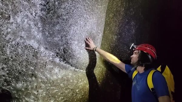 دانشمندان بزرگ ترین شبکه عنکبوت را کشف کرده اند که حدود 106 متر مربع را در غار در مرز آلبانیا و یونان دارد - اسپوتنیک افغانستان  