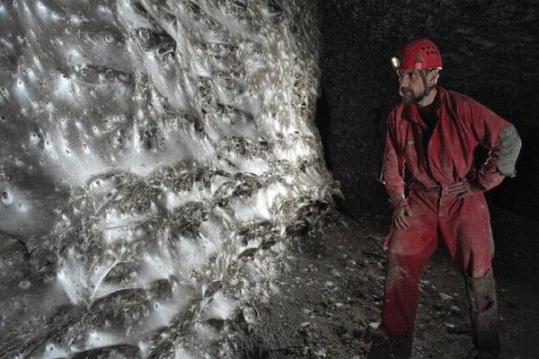 دانشمندان بزرگ ترین شبکه عنکبوت را کشف کرده اند که حدود 106 متر مربع را در غار در مرز آلبانیا و یونان دارد دانشمندان بزرگ ترین شبکه عنکبوت را کشف کرده اند که حدود 106 متر مربع را در غار در مرز آلبانیا و یونان دارد - اسپوتنیک افغانستان