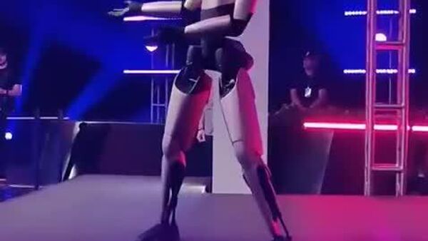 رقص ربات تسلا برای ایلان ماسک - اسپوتنیک افغانستان  