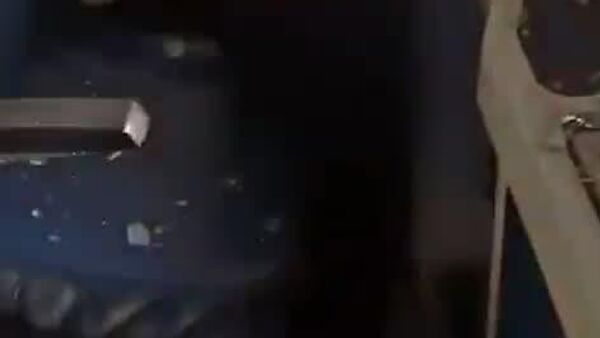 ورود ناگهانی عقاب به کابین قطار در کشمیر - اسپوتنیک افغانستان  