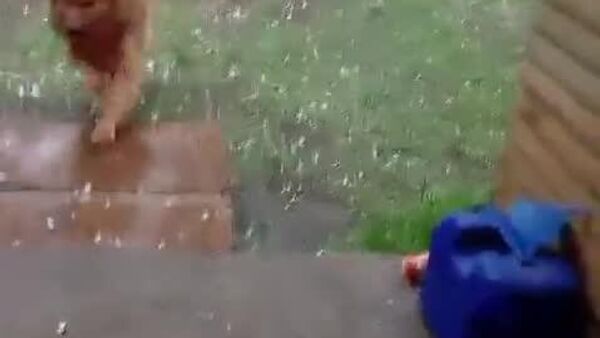 ژاله‌های غول‌پیکر در جنوب کشور شیلی بارید - اسپوتنیک افغانستان  