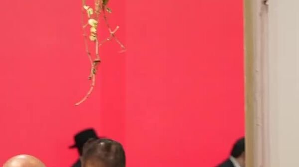 اخراج هیئت اسرائیلی از کنفرانس تغییرات آب و هوایی در برازیل - اسپوتنیک افغانستان  