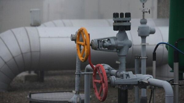 سیاستمدار آلمانی: آلمان باید روابط اقتصادی خود را با روسیه از سر بگیرد - اسپوتنیک افغانستان  