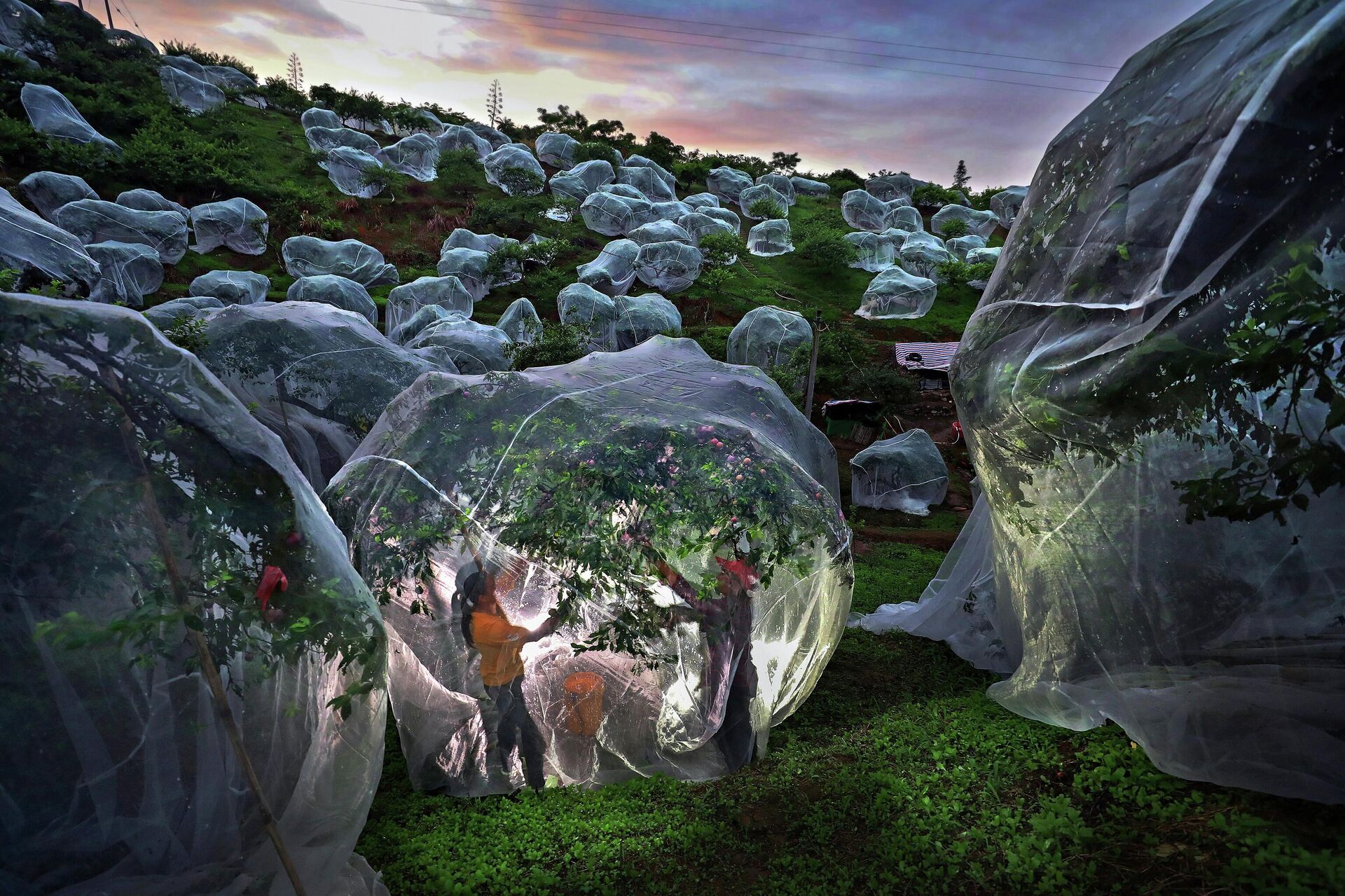 ХI Международный конкурс фотожурналистики имени Андрея Стенина - اسپوتنیک افغانستان  , 1920, 18.11.2025