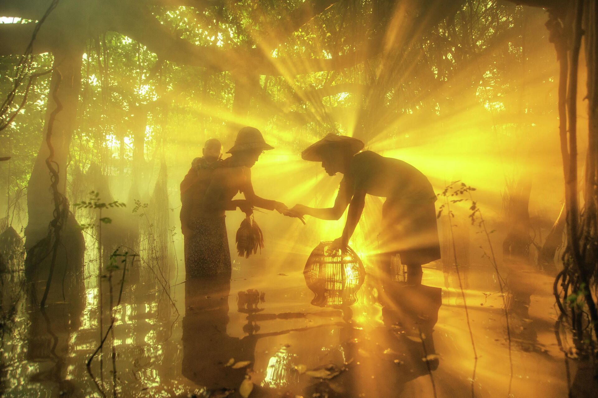 ХI Международный конкурс фотожурналистики имени Андрея Стенина - اسپوتنیک افغانستان  , 1920, 18.11.2025