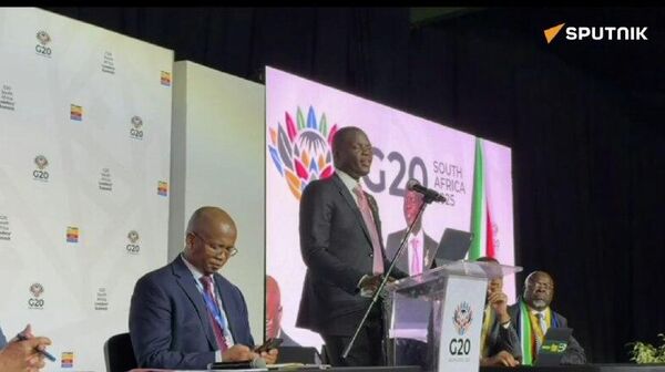 وزیر خارجه افریقای جنوبی: بیانیه گروه-20 پیروزی جهان جنوب و تجلی نخستینگی افریقاست - اسپوتنیک افغانستان  