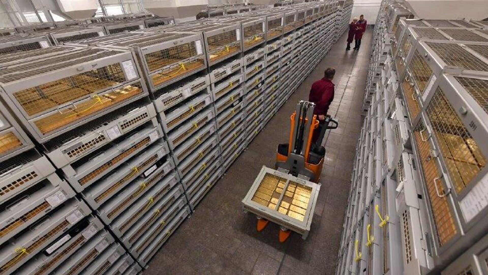 چگونه قمار طلای روسیه به ثمر نشست چگونه قمار طلای روسیه به ثمر نشست - اسپوتنیک افغانستان , 1920, 24.11.2025