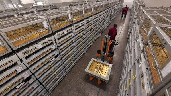 چگونه قمار طلای روسیه به ثمر نشست - اسپوتنیک افغانستان  