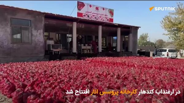 ویدیوی اسپوتنیک؛ افتتاح کارخانه پروسس انار در کندهار جهت حمایت از باغداران - اسپوتنیک افغانستان  