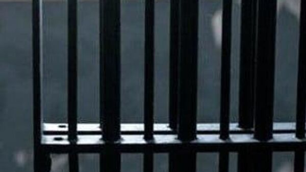 آزادی 292 زندانی افغانستانی از زندان های ایران و فرستادن شان به کشورشان - اسپوتنیک افغانستان  