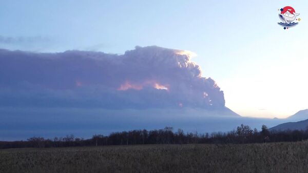 فوران آتشفشان بزیمیانی در کامچاتکا - اسپوتنیک افغانستان  