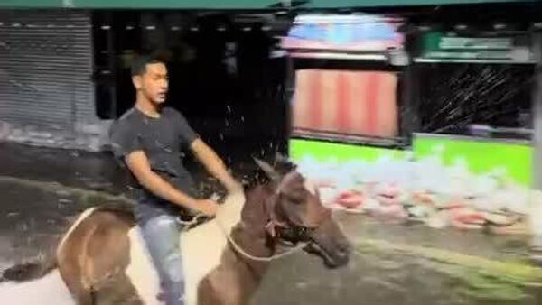 استفاده از اسب برای عبور و مرور در خیابان‌های در تایلند - اسپوتنیک افغانستان  